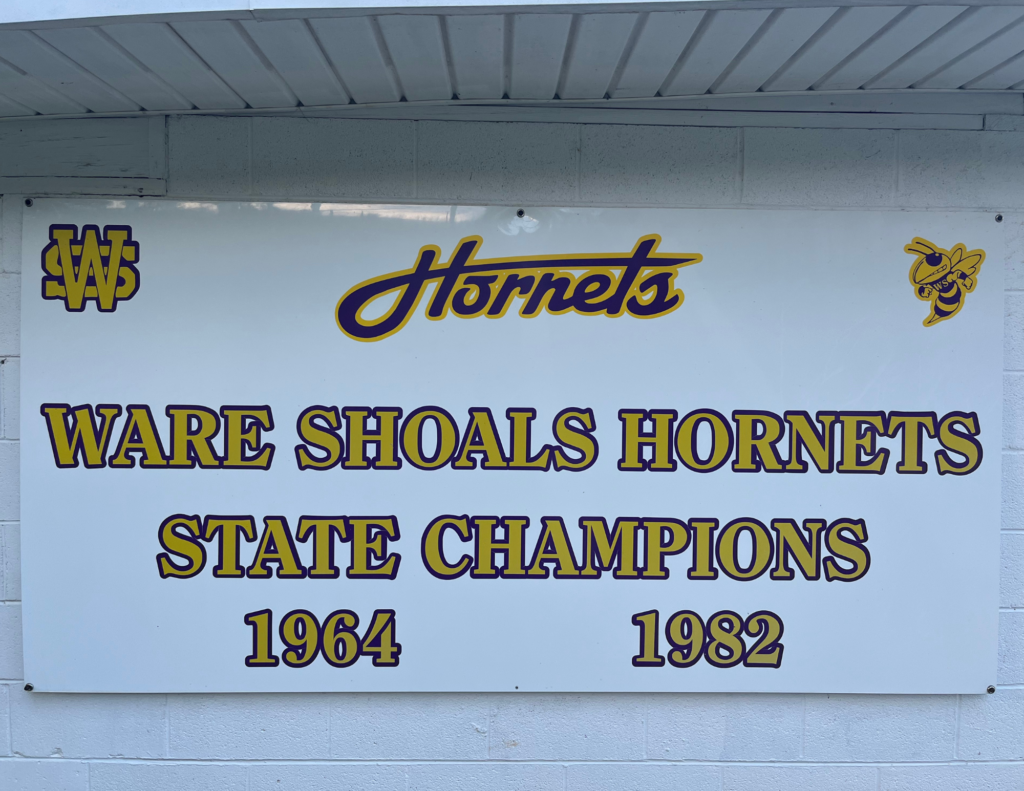 Purple Hornets Have Something to Prove in 2023 - SK Media Lakelands